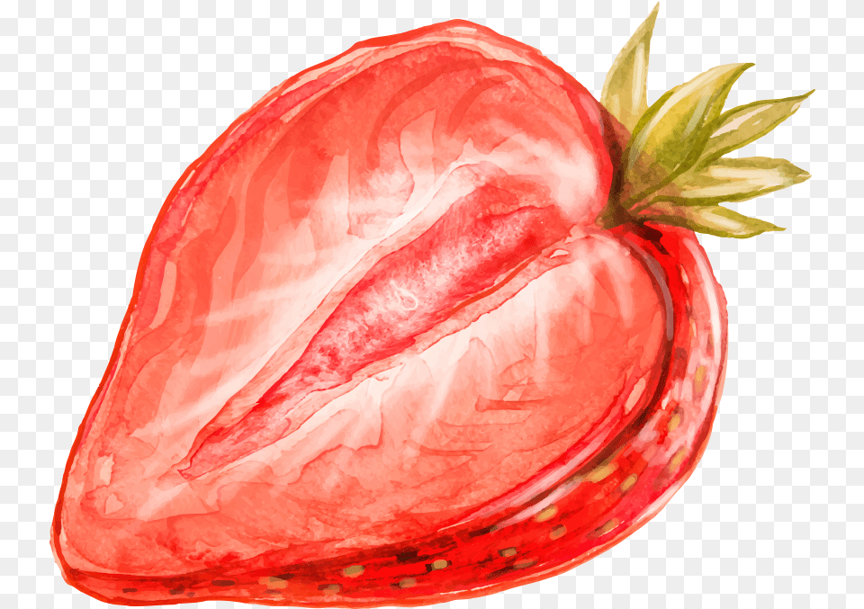 Strawberry Watercolor, Berry, Food, Fruit, Plant Free Transparent Png