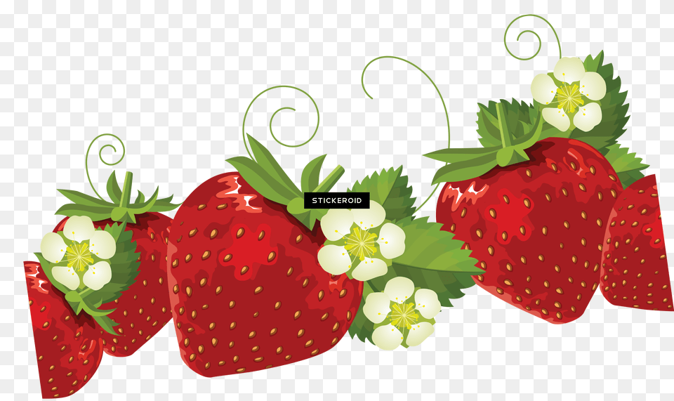Strawberrys Fruits Nuts Strawberry Strawberries Border, Berry, Food, Fruit, Plant Png
