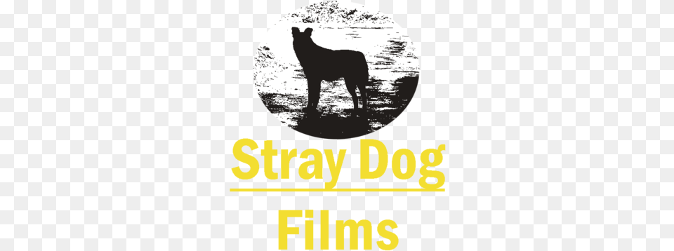 Stray Dog Films Film, Animal, Coyote, Mammal, Silhouette Free Png Download