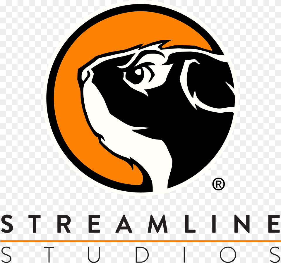 Streamline Studios Newest Logo Streamlinestudios Streamline Studios, Person Png