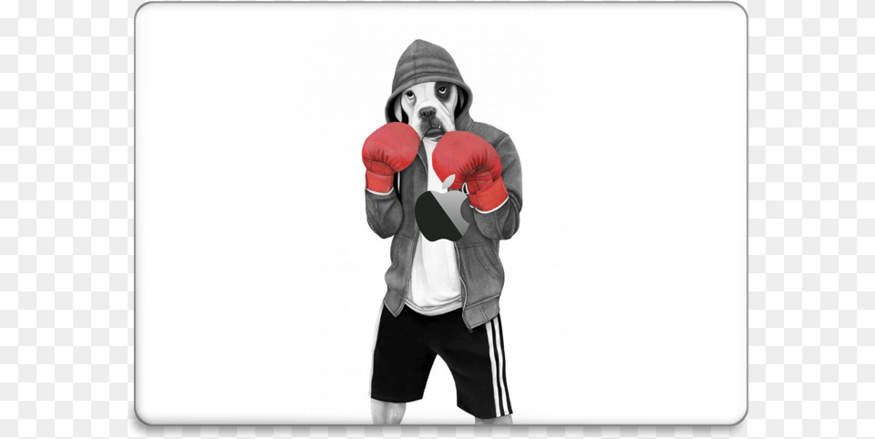 Street Boxer Skin Macbook Pro 15 2016 Professional Boxing, Adult, Person, Man, Male Free Png