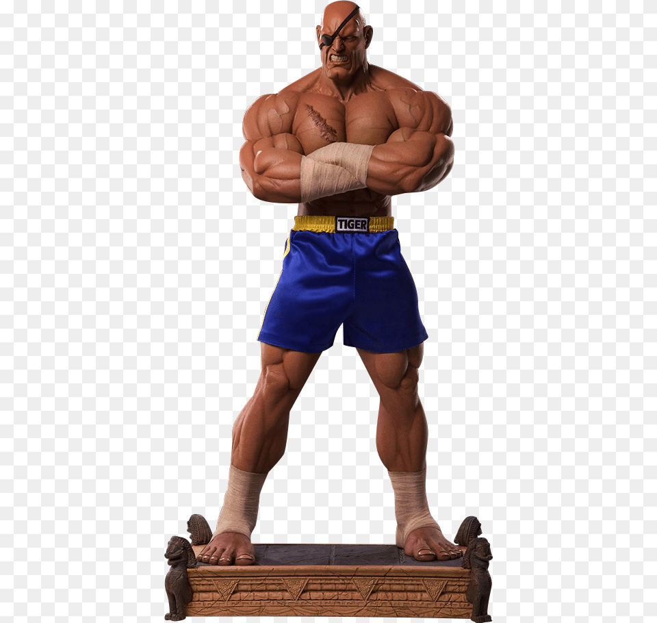 Street Fighter Sagat Action Figures, Adult, Male, Man, Person Free Transparent Png