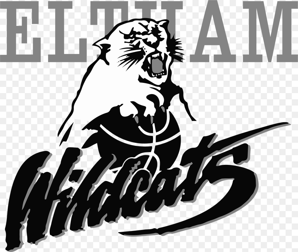 Street Hustle Eltham Wil Eltham Wildcats, Stencil, Animal, Lion, Mammal Png Image