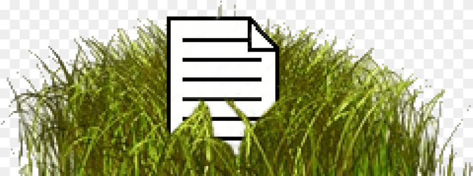 Street Sign, Grass, Plant, Vegetation, Reed Free Png