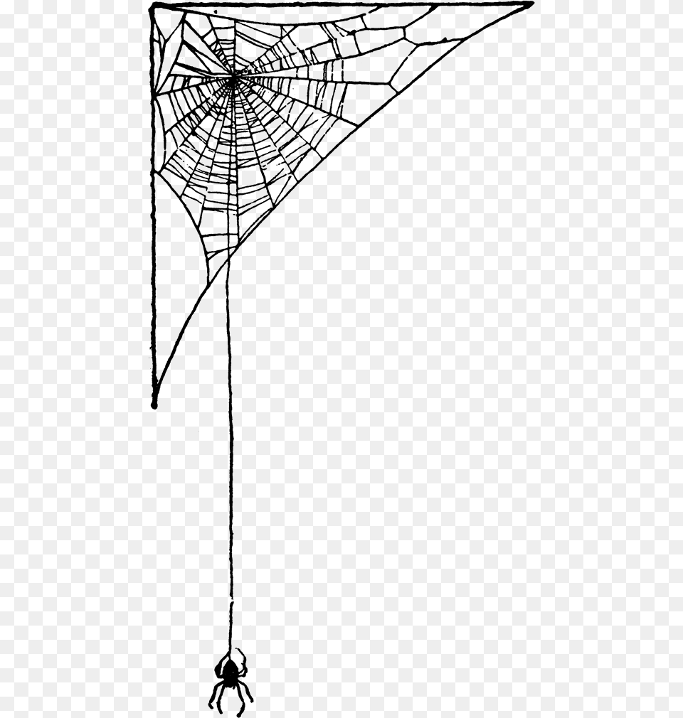 Streetball, Spider Web Free Transparent Png