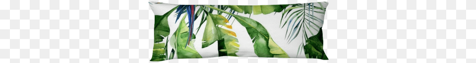 Strelitzia Reginae Flower Cushion, Vegetation, Leaf, Plant, Tree Free Png