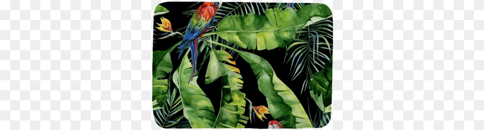Strelitzia Reginae Flower Obrazy Na Ptnie Tropical Papugi, Vegetation, Plant, Animal, Bird Free Png Download