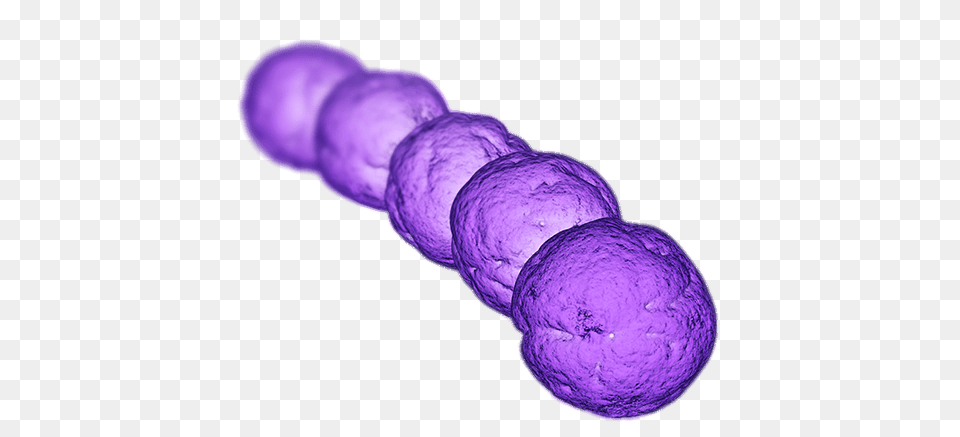 Streptococcus Bacteria, Purple, Sphere Free Png