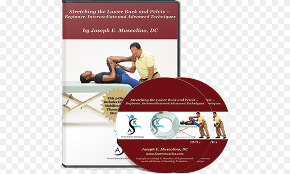Stretching The Lower Back And Pelvis Beginner Intermediate Stretching Dvd, Person, Adult, Man, Male Png