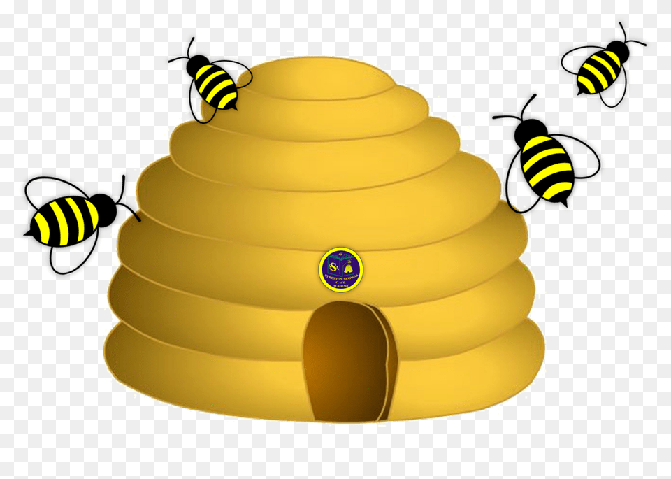 Stretton Sugwas Academy, Animal, Bee, Insect, Invertebrate Png