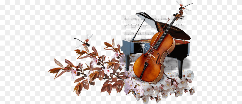 String Instrumentviolin Familyviolinbowed String Piano And Cello, Keyboard, Musical Instrument, Flower, Plant Png