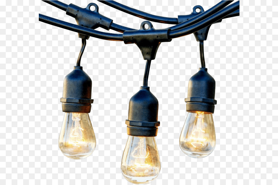 String Lighting Black Commercial String Lights, Light, Lightbulb, Chandelier, Lamp Png Image