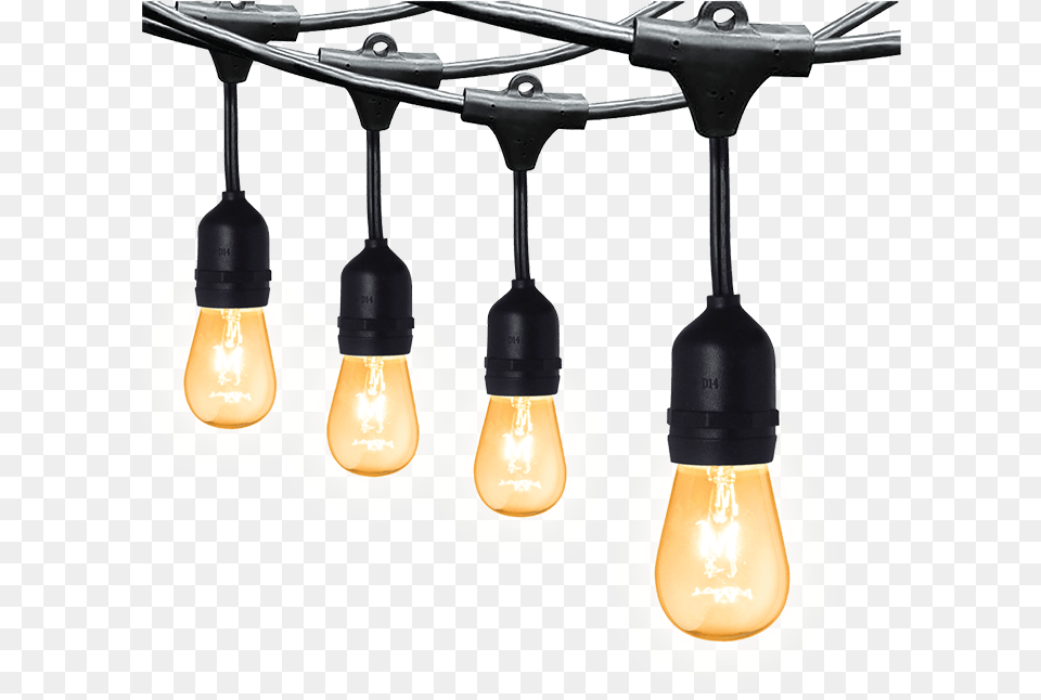 String Lights Firefly Electric U0026 Lighting Corporation Ceiling Fixture, Light, Device, Power Drill, Tool Free Png