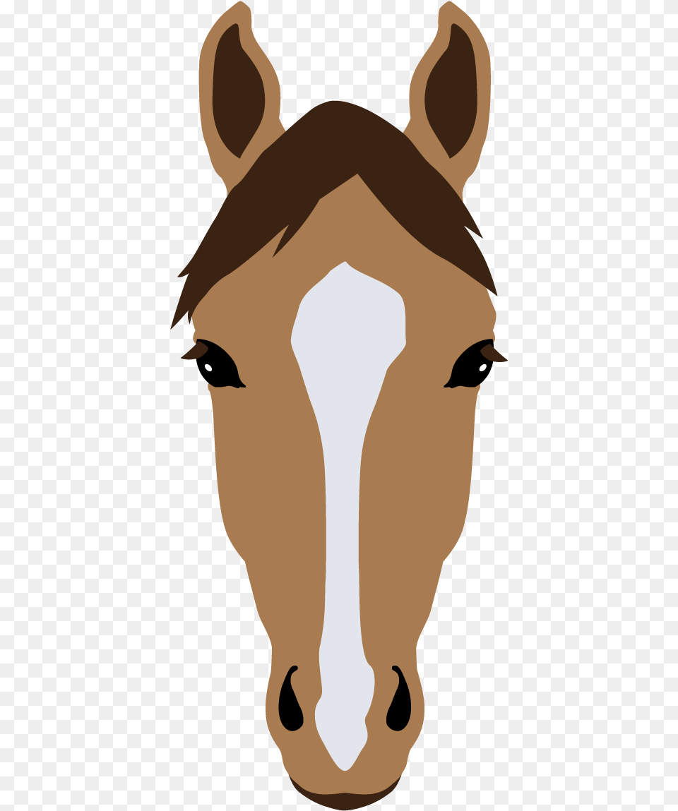 Strip Horse, Animal, Colt Horse, Mammal, Adult Free Png Download