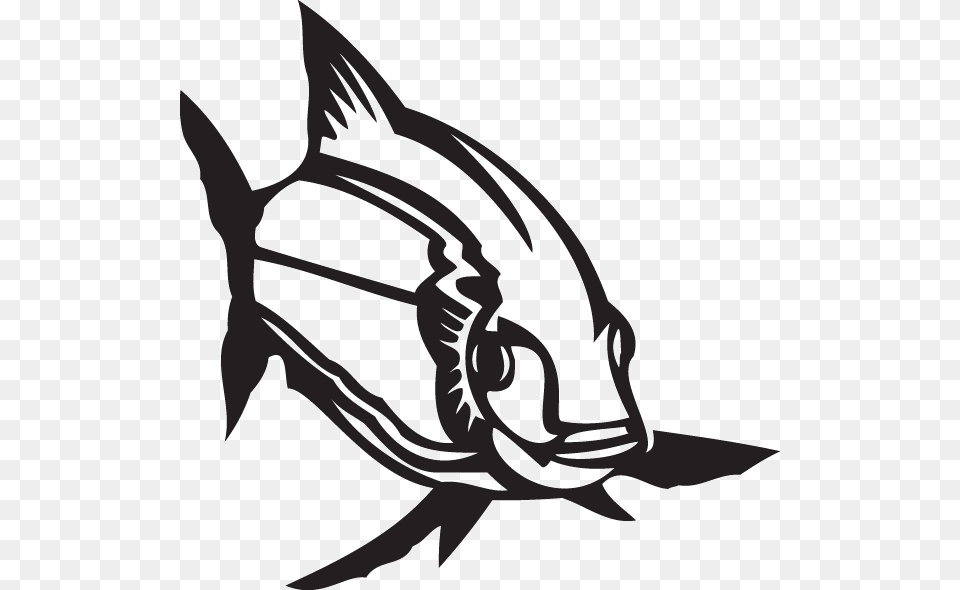 Striped Bass Decal, Stencil, Animal, Fish, Sea Life Free Png Download