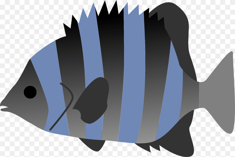 Striped Beakfish Fish Clipart, Animal, Sea Life, Shark Free Png
