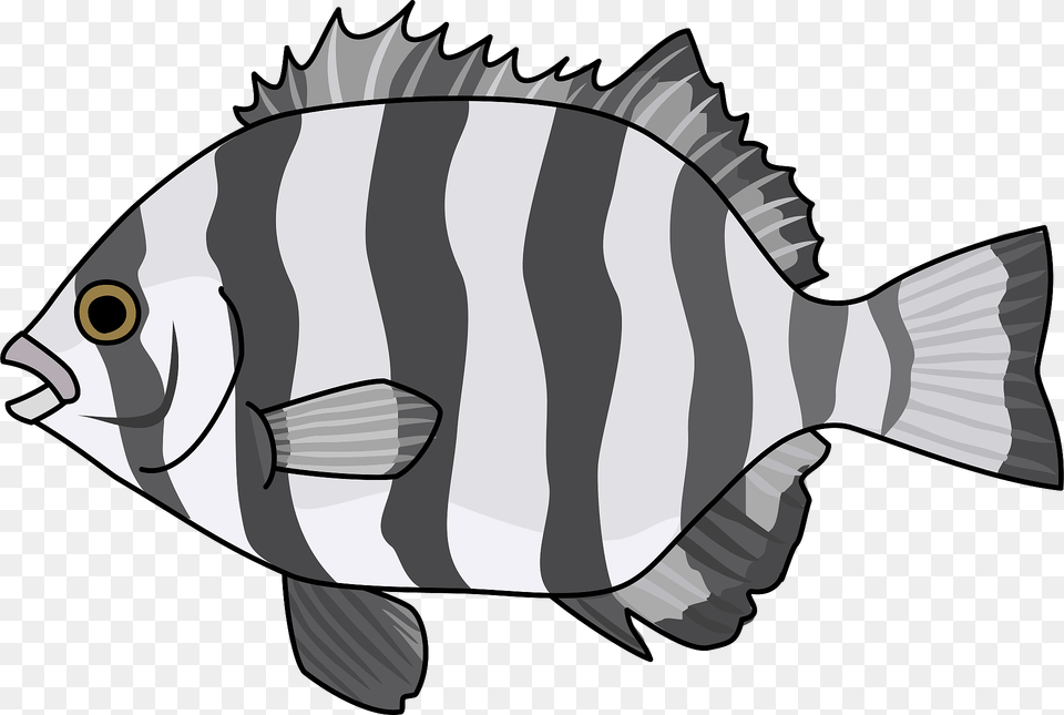 Striped Beakfish Fish Clipart, Animal, Sea Life, Kangaroo, Mammal Free Png