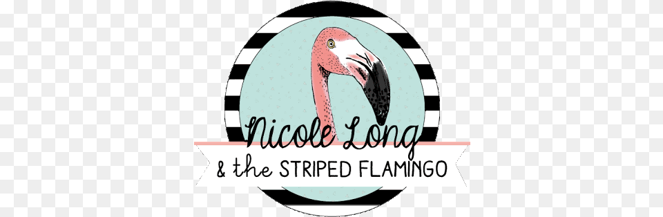 Striped Flamingo Greater Flamingo, Animal, Beak, Bird Free Png