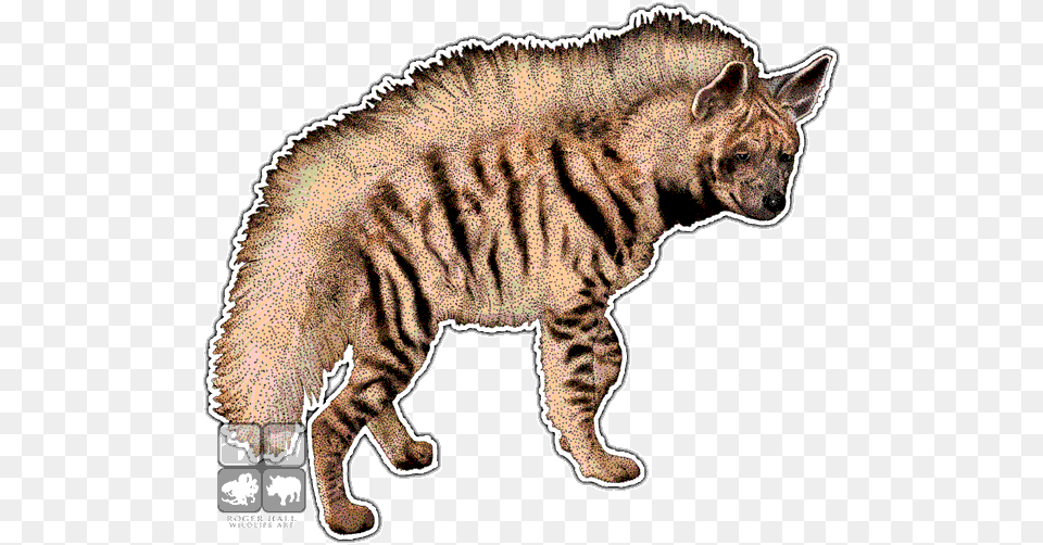 Striped Hyena Decal Hyenas In Africa, Animal, Wildlife, Mammal, Panther Png