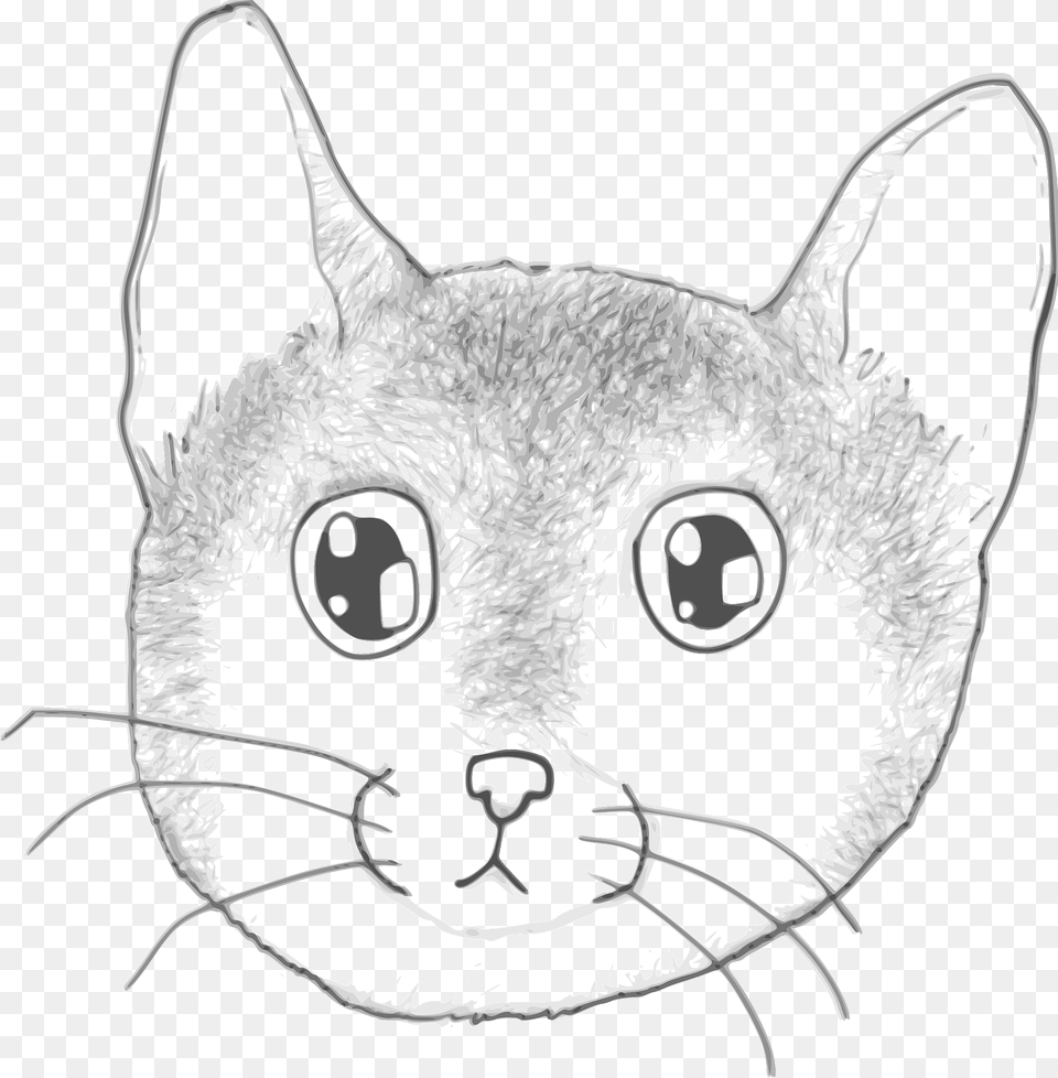 Striped Kitten Face Line Art Clipart, Animal, Cat, Mammal, Pet Free Png Download