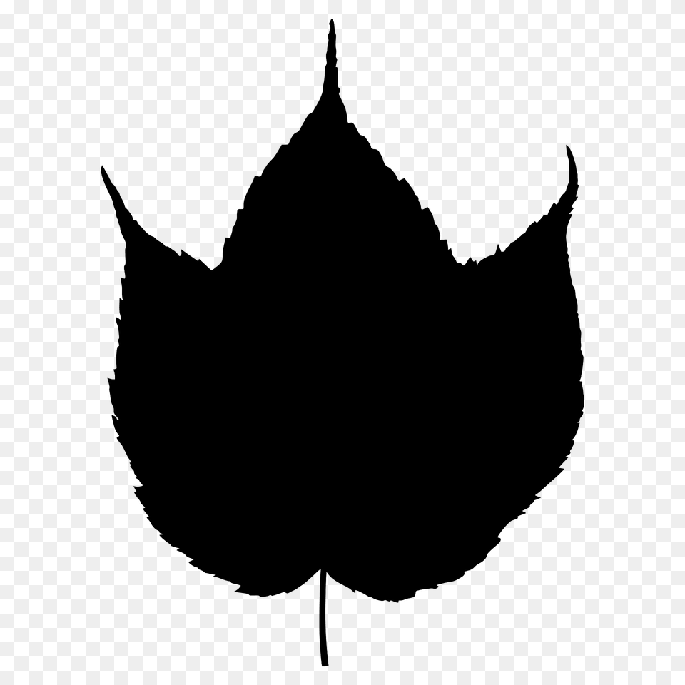Striped Maple Leaf Silhouette, Plant Free Png Download