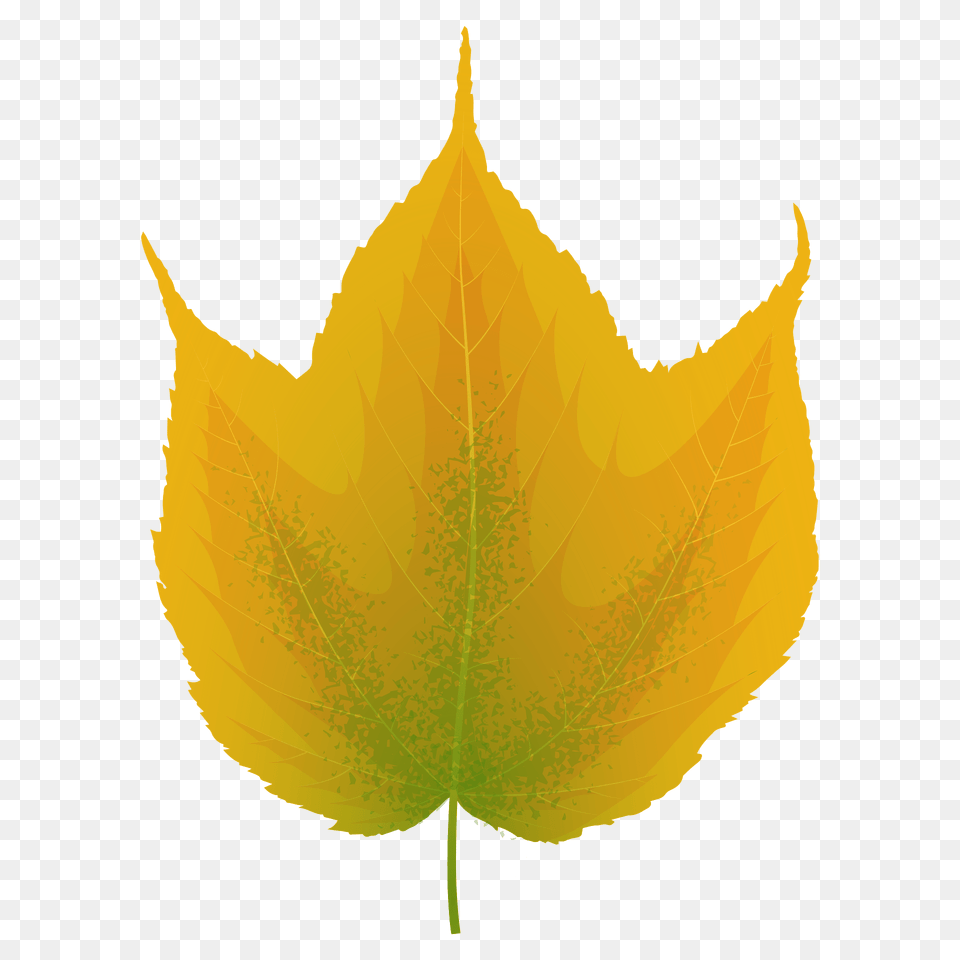 Striped Maple Yellow Leaf Clipart, Plant, Tree, Maple Leaf, Chandelier Free Png Download