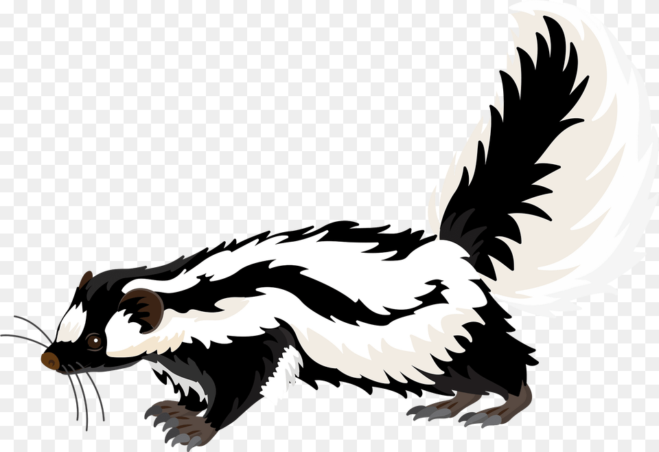 Striped Polecat Clipart, Animal, Mammal, Wildlife, Skunk Free Transparent Png