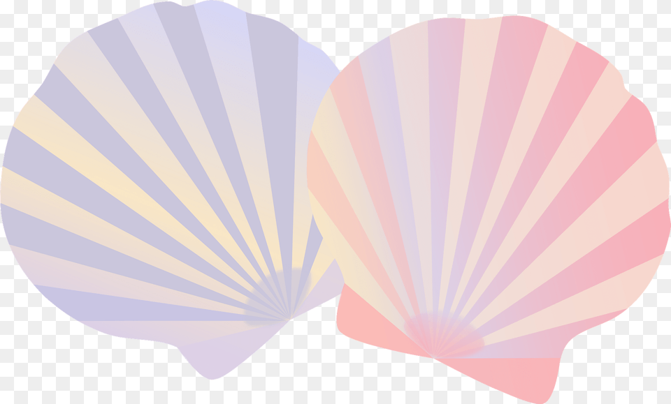 Striped Shells Clipart, Animal, Clam, Food, Invertebrate Png