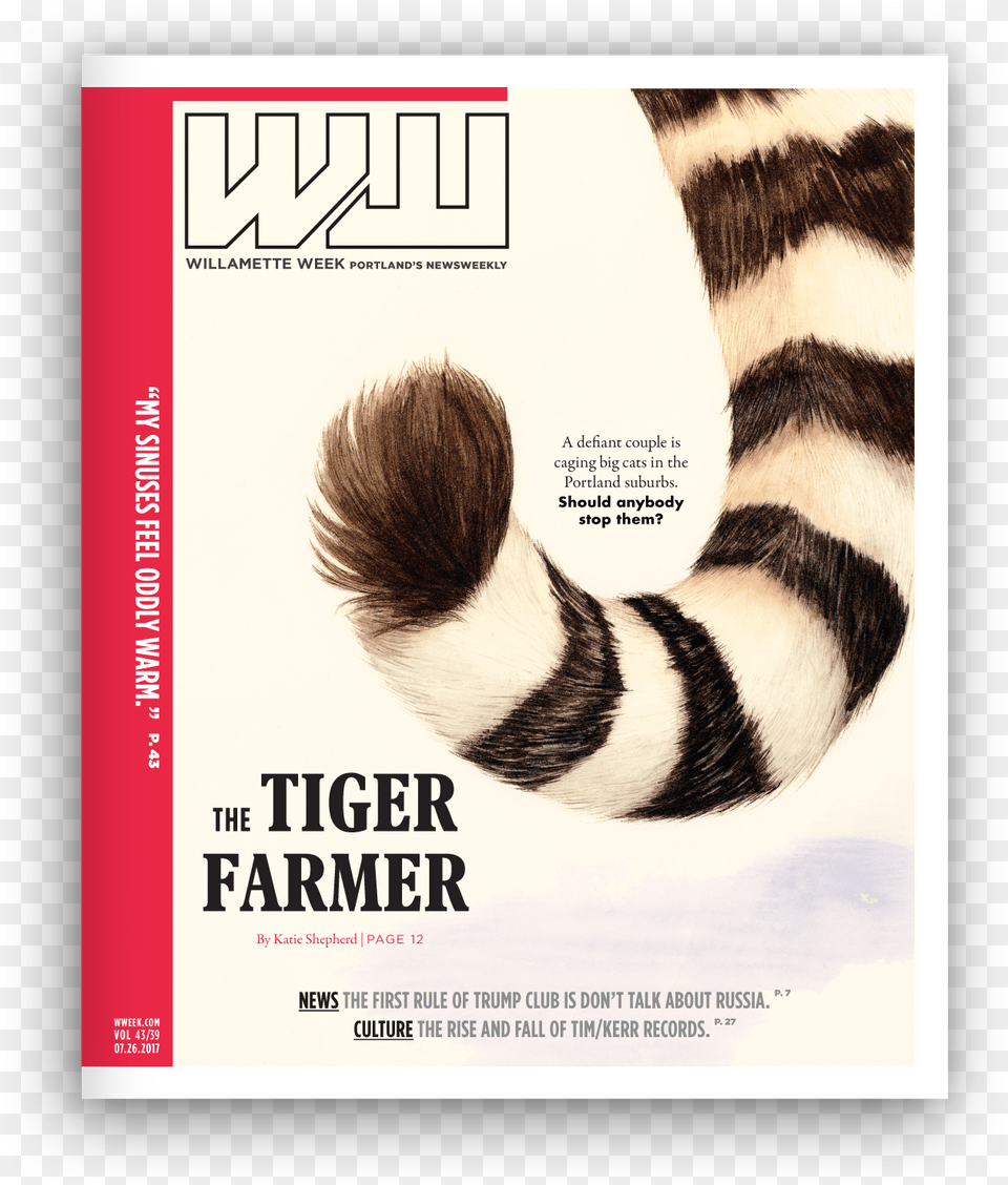 Striped Skunk, Advertisement, Poster, Publication, Animal Free Transparent Png