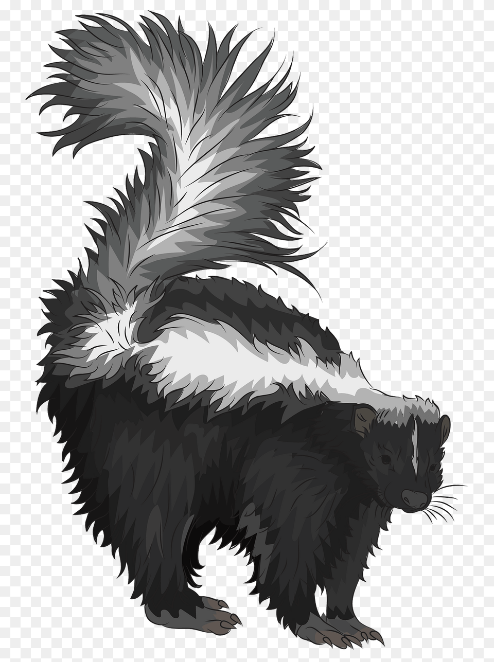 Striped Skunk Clipart, Animal, Mammal, Wildlife, Dinosaur Free Png Download