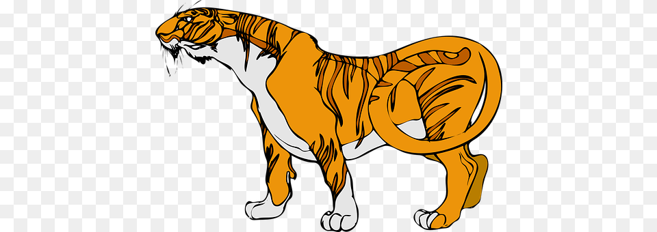 Stripes Animal, Baby, Person, Dinosaur Free Transparent Png
