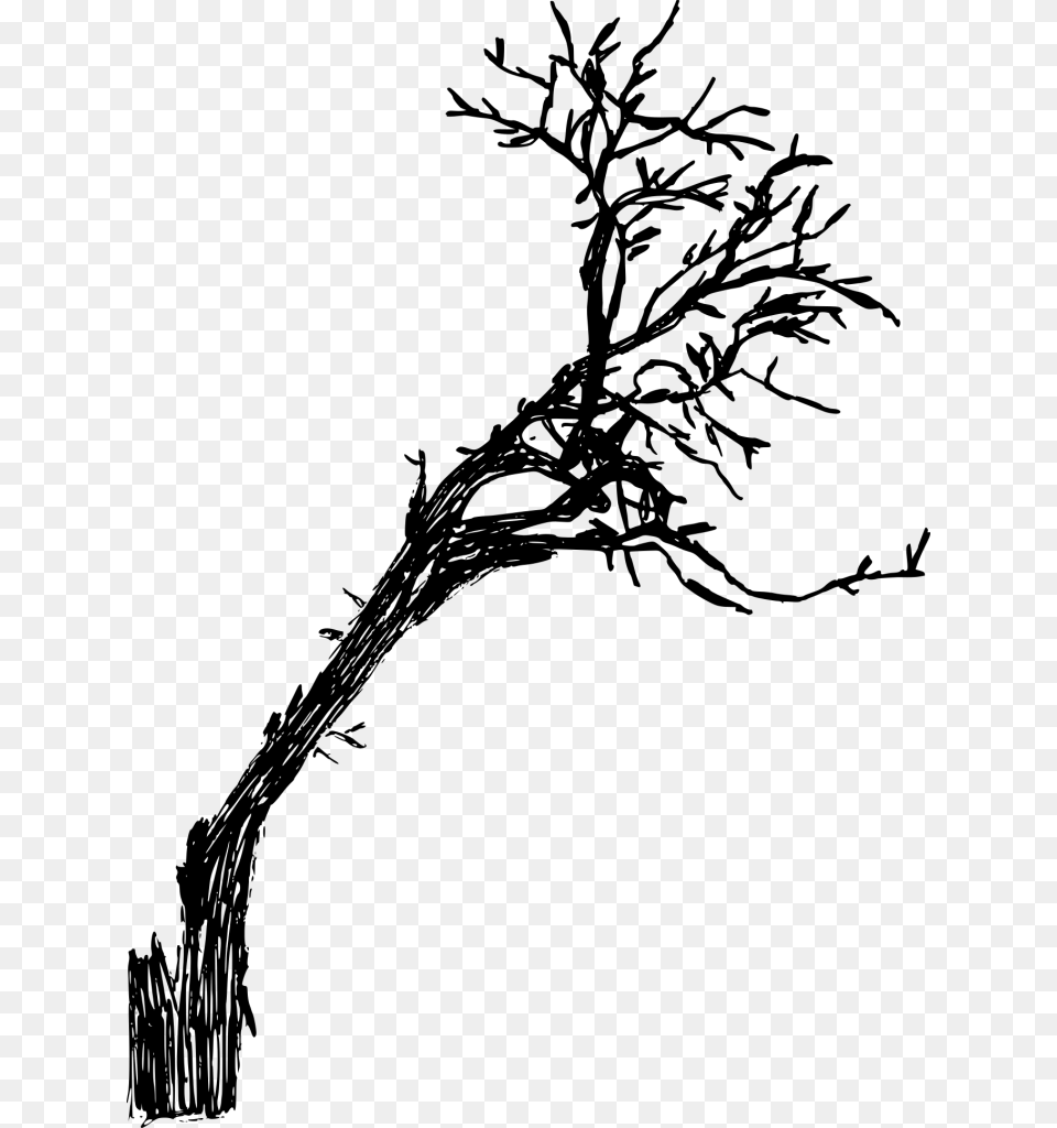 Stroke Drawing Dead Twig, Gray Free Png