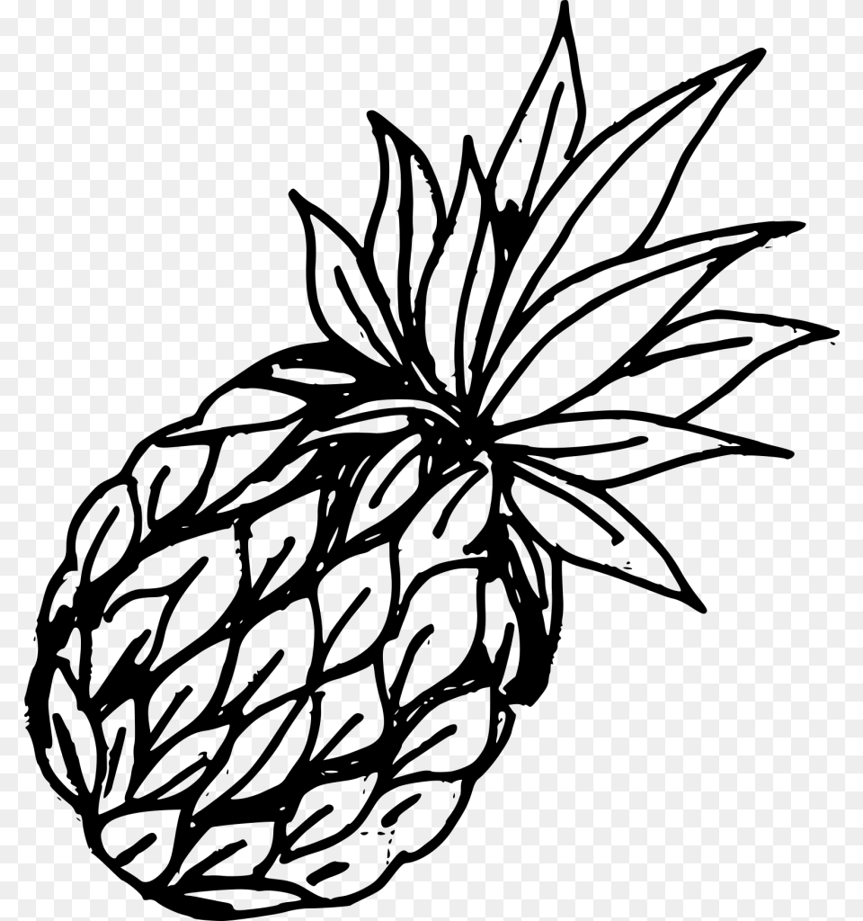 Stroke Drawing Fruit Drawn Pineapple, Gray Png Image