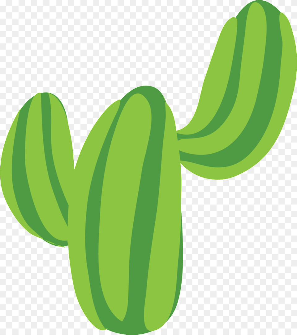 Strong Cactus Cute Plant Free Png Download