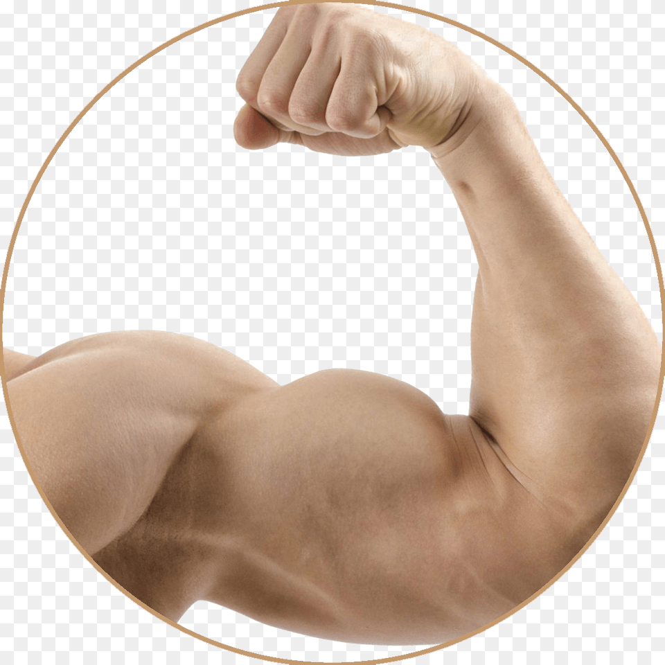 Strong Muscle Arm Image Arm Muscle, Body Part, Person, Hand, Wrist Free Transparent Png