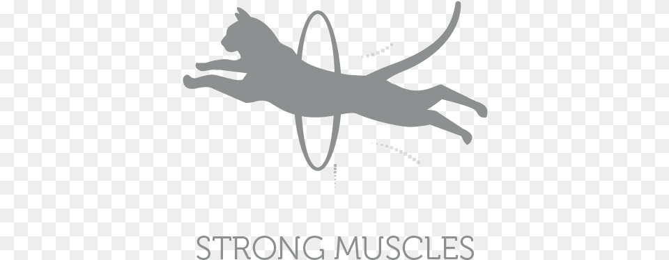 Strong Muscles Of Active Cats Maintained By Providing Silhouette, Dancing, Leisure Activities, Person, Logo Free Png