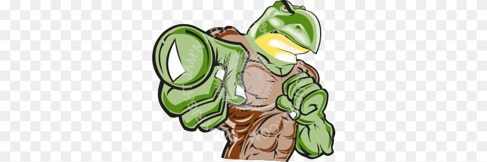 Strong Turtle Pointing, Green, Photography, Dynamite, Weapon Free Png