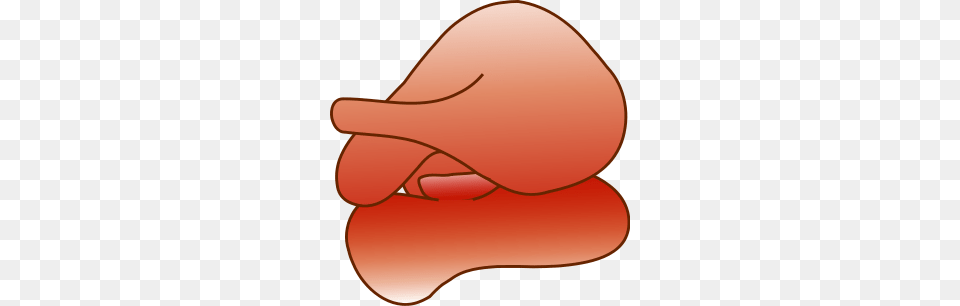 Structural Biochemistrylipidsmicelles Png