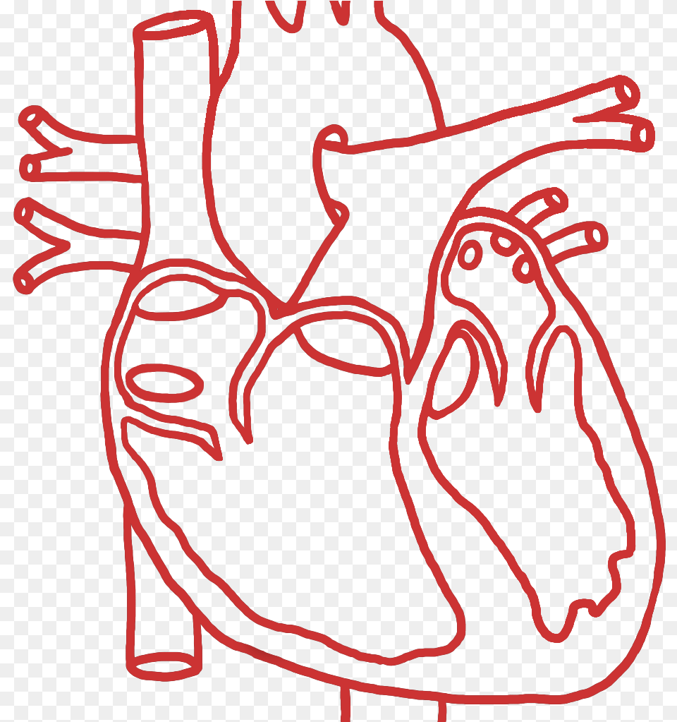 Structural Heart, Clothing, Footwear, Shoe, Dancing Free Png