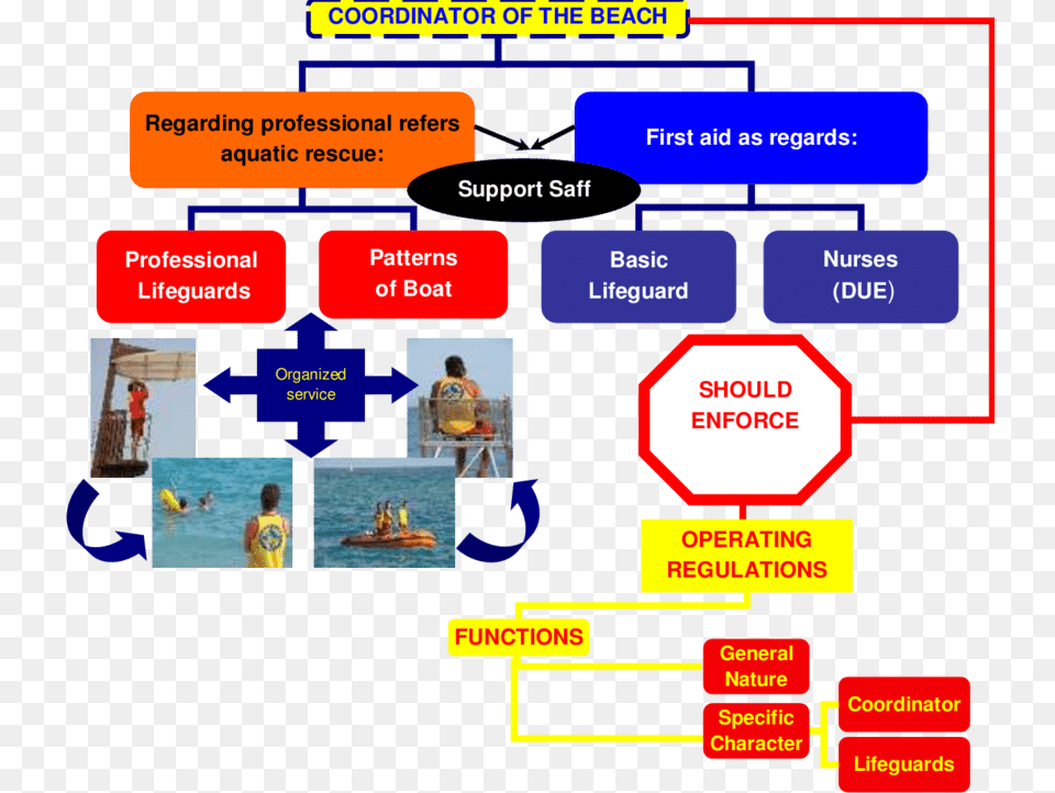 Structure Of Operating A Lifeguard Service In Natural Structure, Person, Head Png