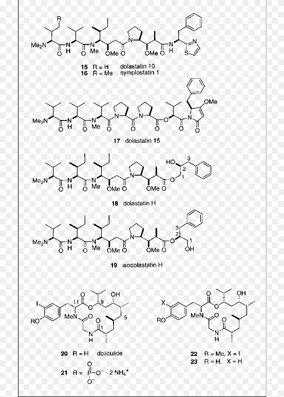 Structures Of Dolastatins Doliculide 20 And Its Document, Head, Person, Symbol Free Transparent Png