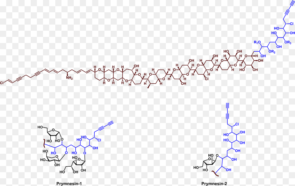 Structures Of P, Blackboard, Chart, Plot Free Png