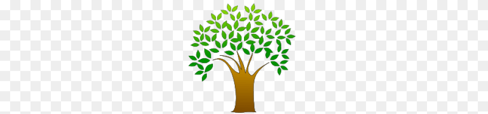 Struggling To Uncover Your Irish Heritage Have A Certain Bit, Plant, Tree, Green, Leaf Free Transparent Png