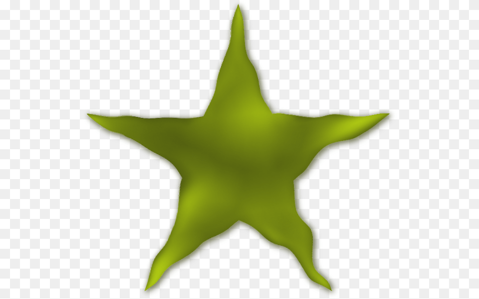 Sts Estrelas Nuvem Lua David Bowie Blackstar T Shirt, Leaf, Plant, Star Symbol, Symbol Free Transparent Png