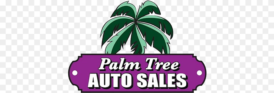 Stuart Used Cars Palm Tree Auto Sales North Sea Jazz Festival, Vegetation, Plant, Leaf, Nature Free Transparent Png
