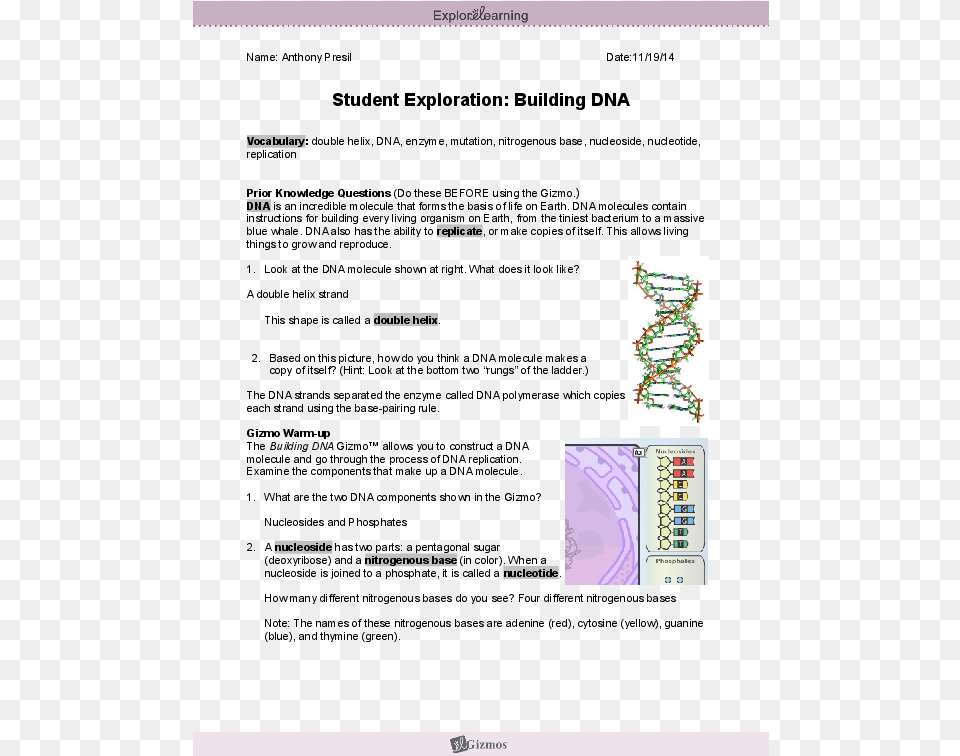 Student Exploration Building Dna Answers, Page, Text, Computer Hardware, Electronics Free Transparent Png