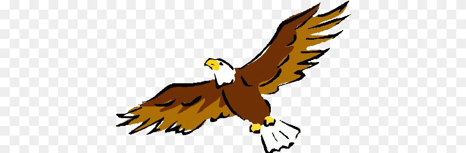 Student Life Eagle Clipart, Animal, Beak, Bird, Flying Free Transparent Png