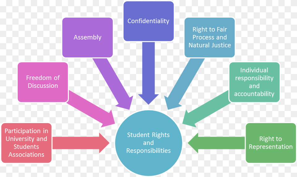 Student Rights, Diagram Free Png Download