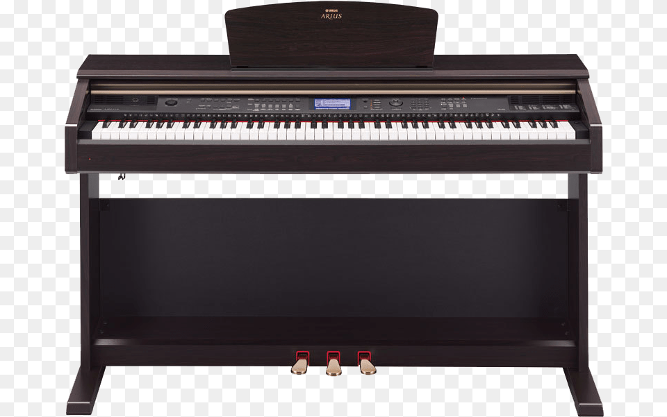 Studies Show That Children Practicing On A Portable Yamaha Ydpv240 Digital Piano, Keyboard, Musical Instrument, Grand Piano Free Transparent Png