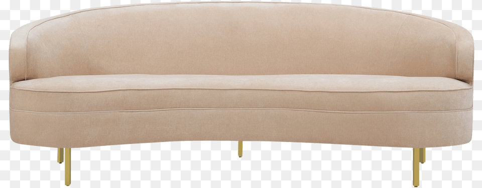 Studio Couch, Furniture, Cushion, Home Decor Free Png